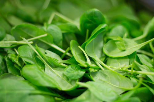 Spinach – Baby 500g